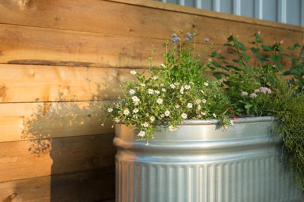 Mustard Seed B&B On The Llano Exterior foto